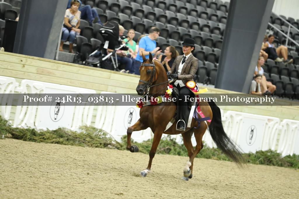 Proof 24R13_03813