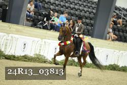 24R13_03813 proof