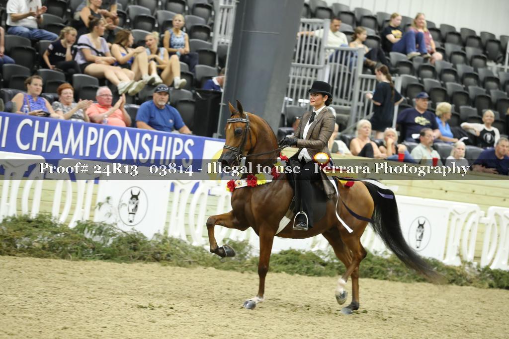 Proof 24R13_03814