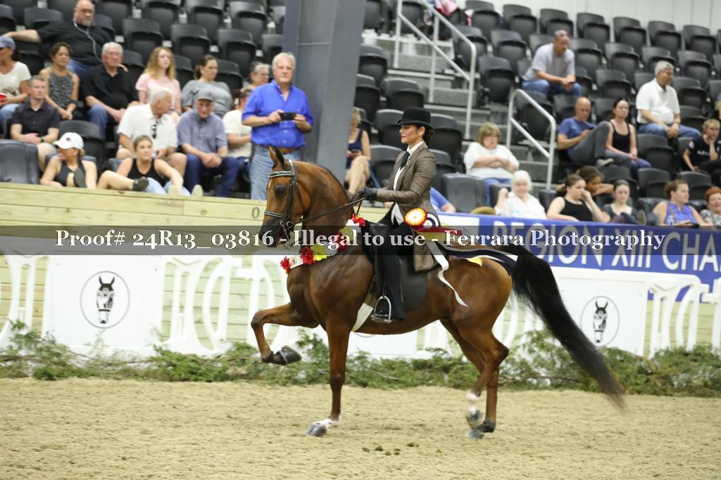 Proof 24R13_03816