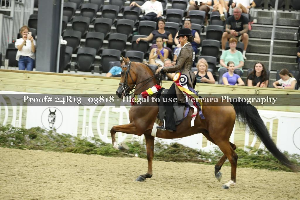 Proof 24R13_03818