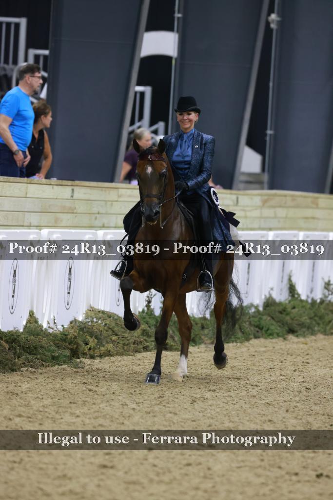 Proof 24R13_03819