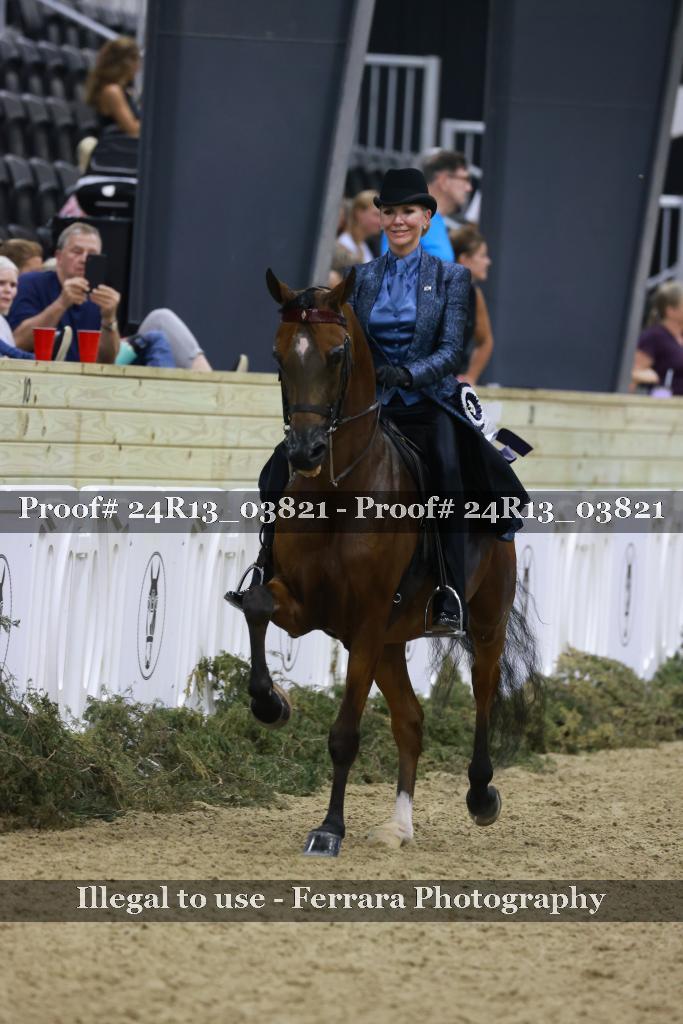Proof 24R13_03821