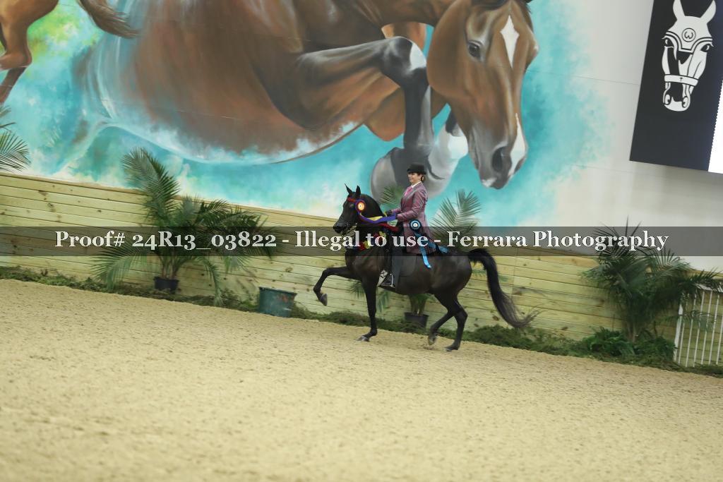 Proof 24R13_03822