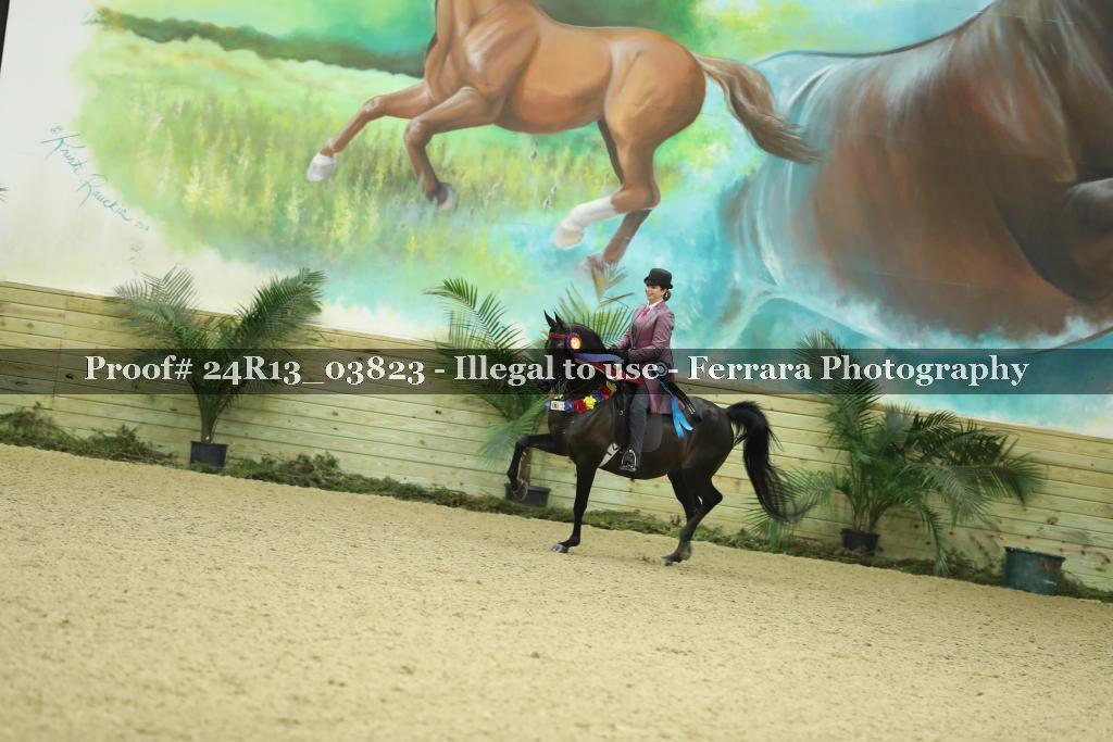 Proof 24R13_03823