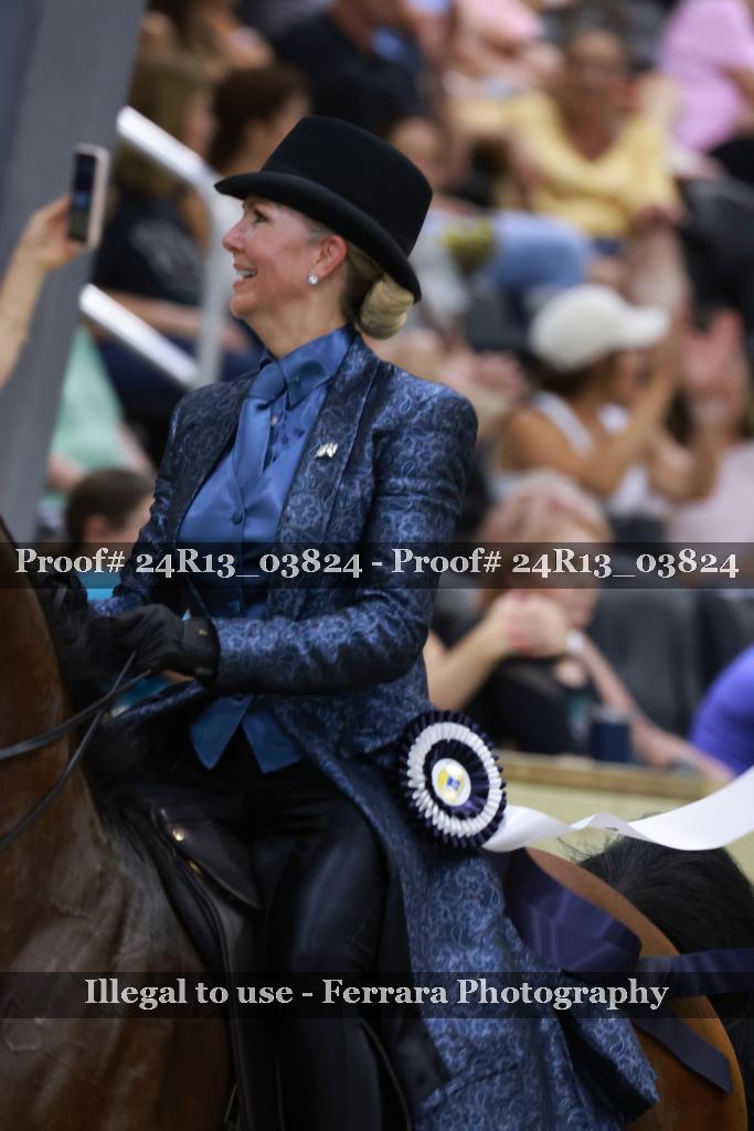 Proof 24R13_03824