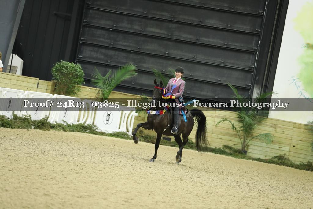 Proof 24R13_03825