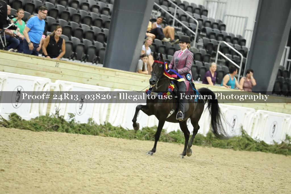 Proof 24R13_03826