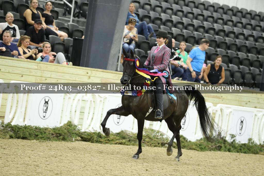 Proof 24R13_03827