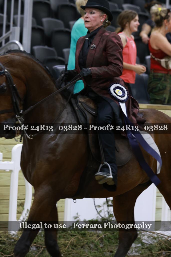 Proof 24R13_03828
