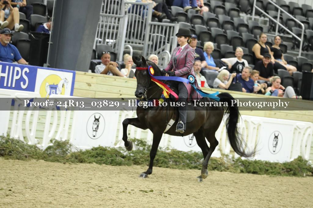 Proof 24R13_03829