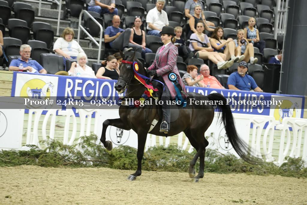 Proof 24R13_03831