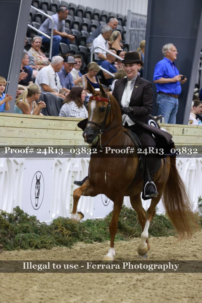 Proof 24R13_03832