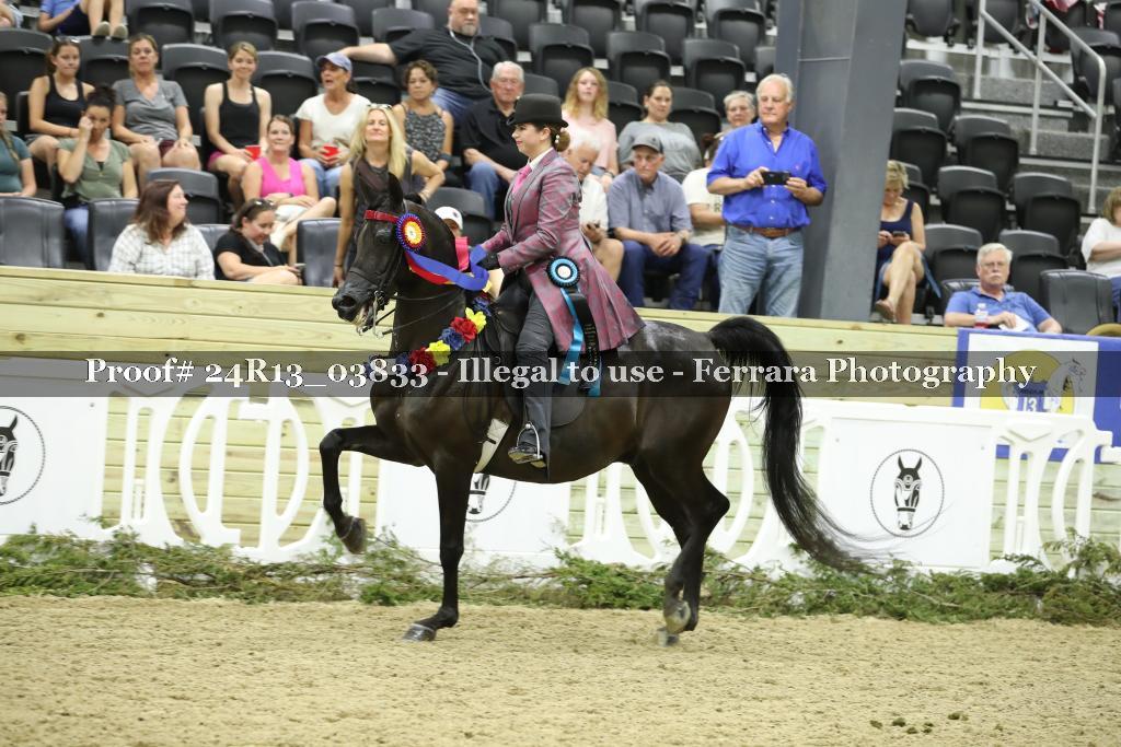 Proof 24R13_03833
