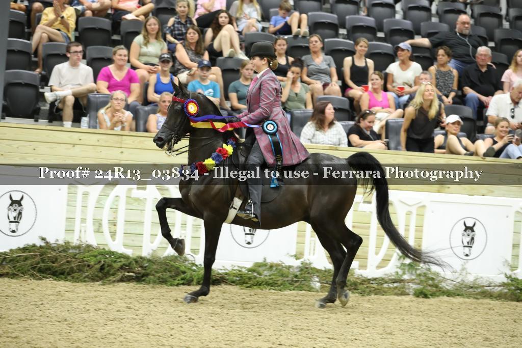 Proof 24R13_03834