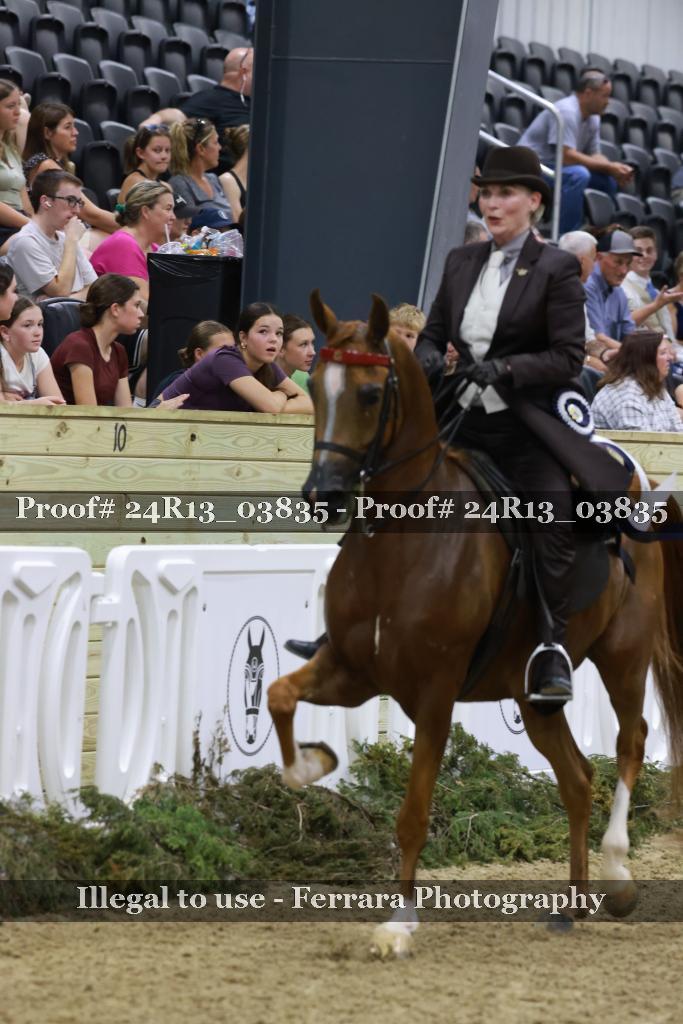 Proof 24R13_03835