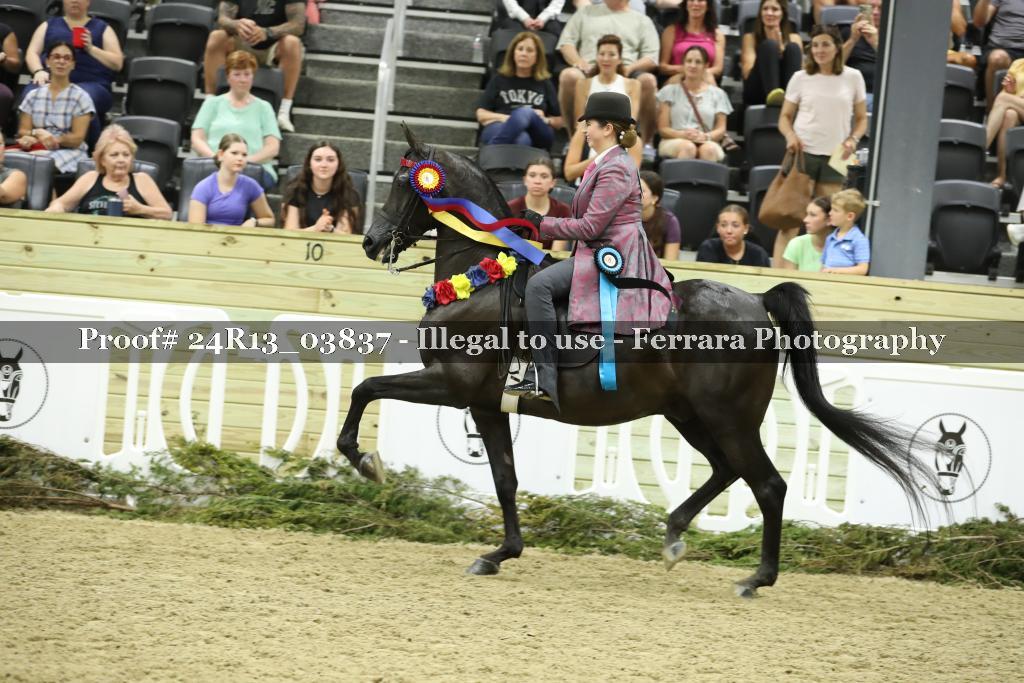 Proof 24R13_03837