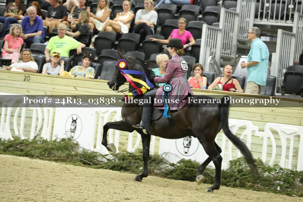 Proof 24R13_03838