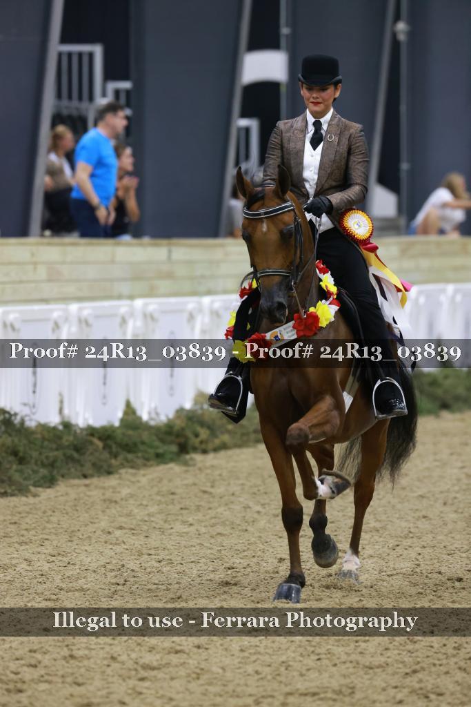 Proof 24R13_03839