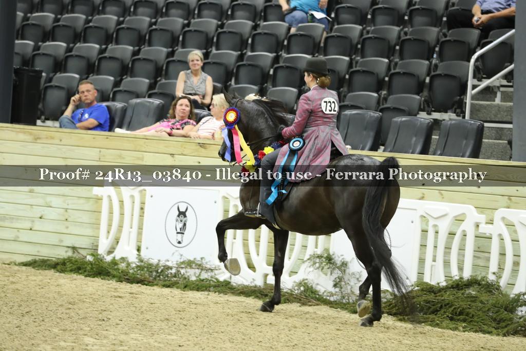 Proof 24R13_03840
