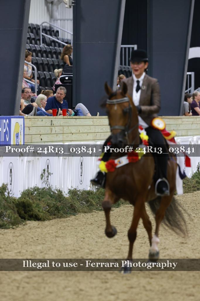 Proof 24R13_03841