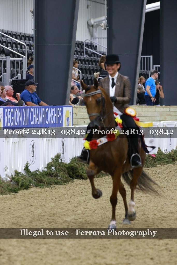 Proof 24R13_03842