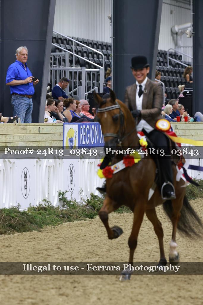 Proof 24R13_03843