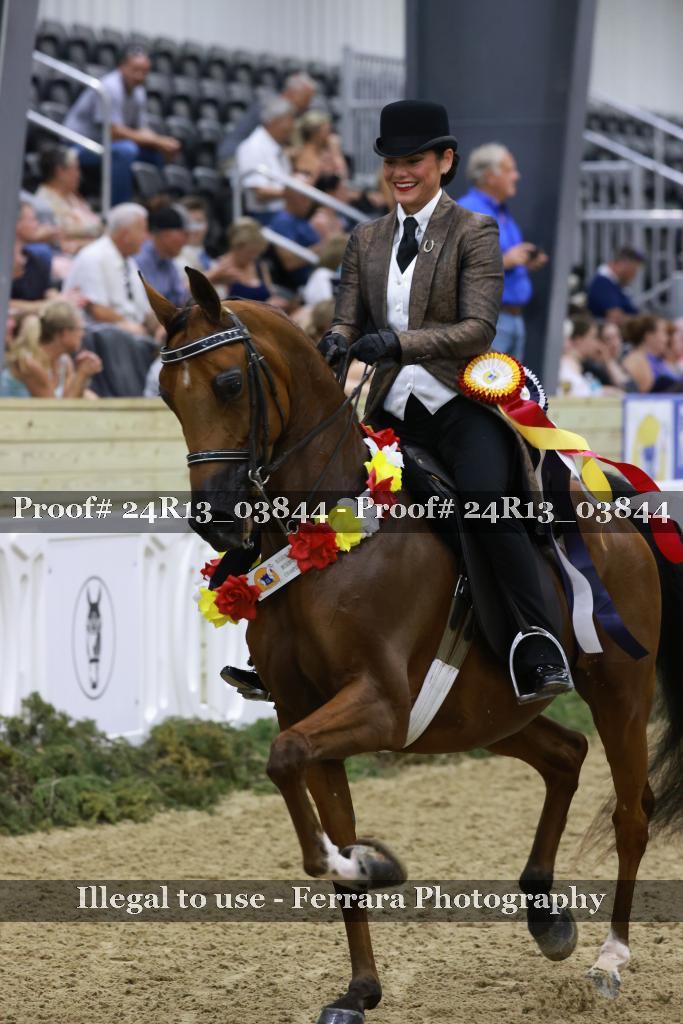 Proof 24R13_03844
