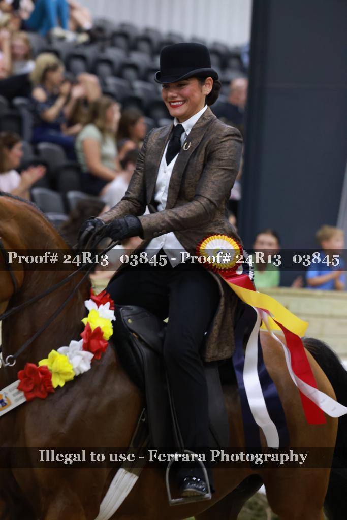Proof 24R13_03845