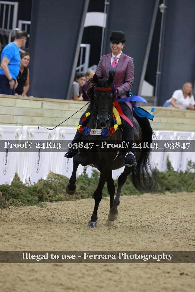 Proof 24R13_03847
