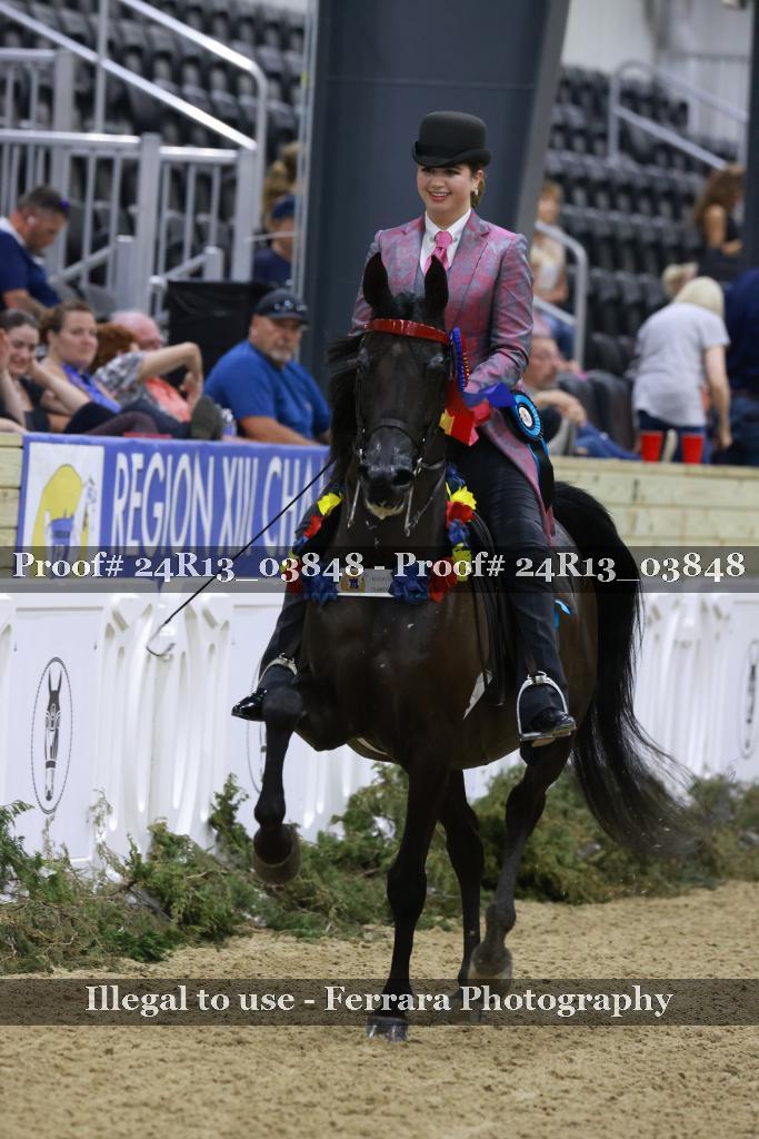 Proof 24R13_03848