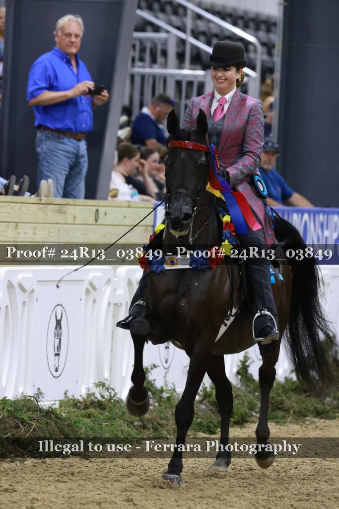 Proof 24R13_03849