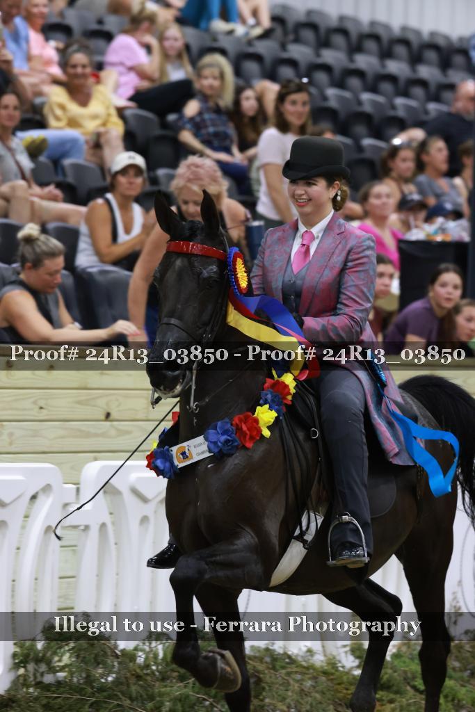 Proof 24R13_03850