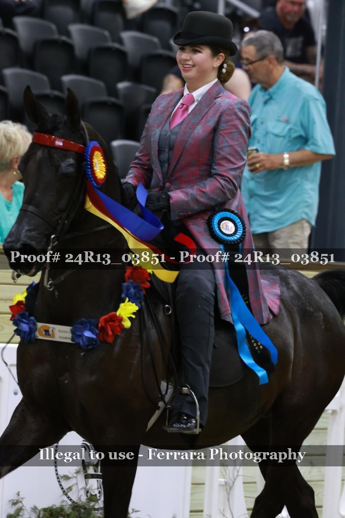 Proof 24R13_03851