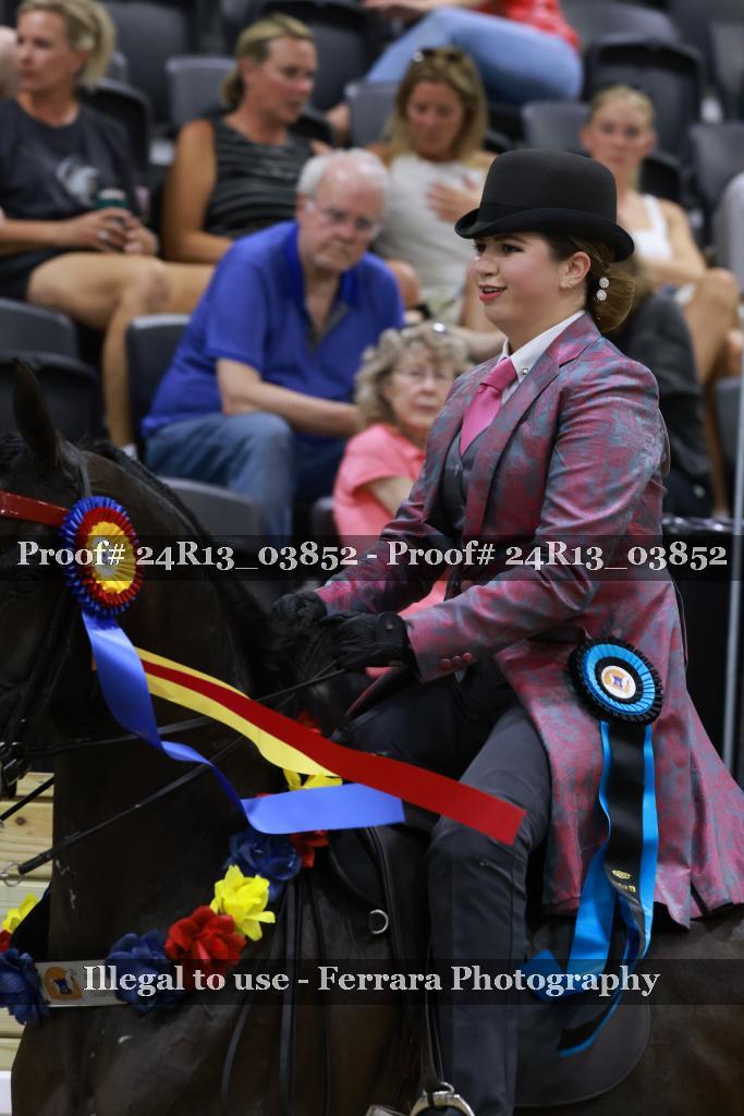 Proof 24R13_03852