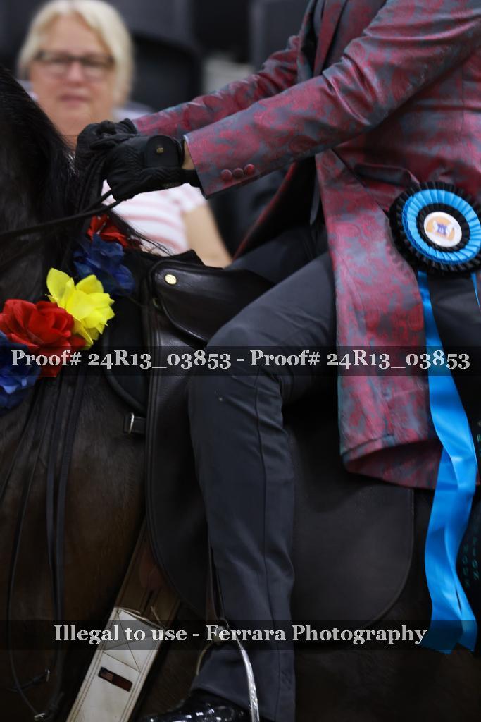 Proof 24R13_03853
