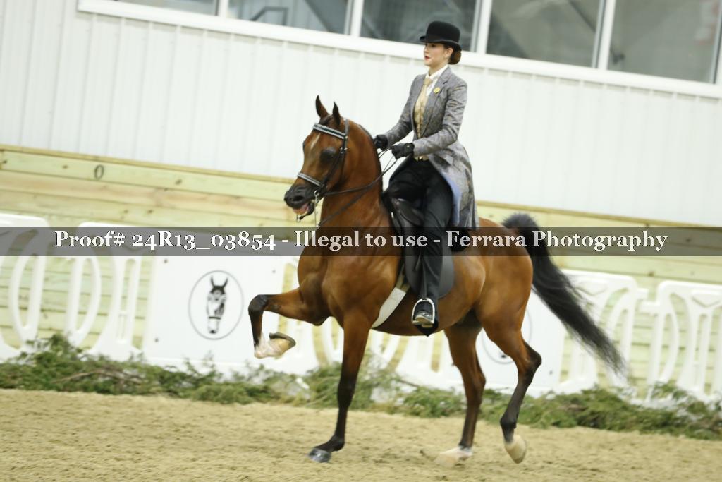 Proof 24R13_03854