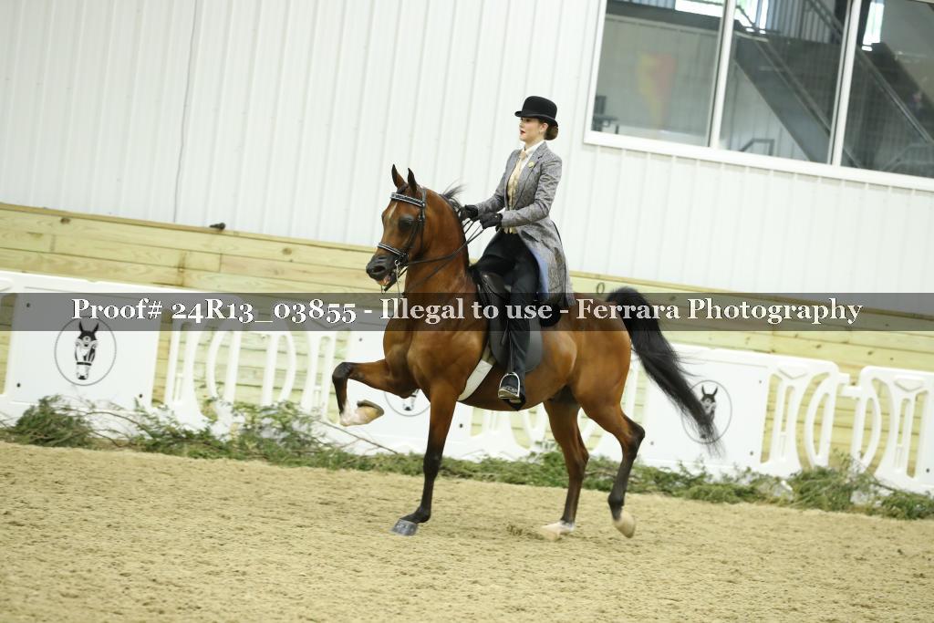 Proof 24R13_03855