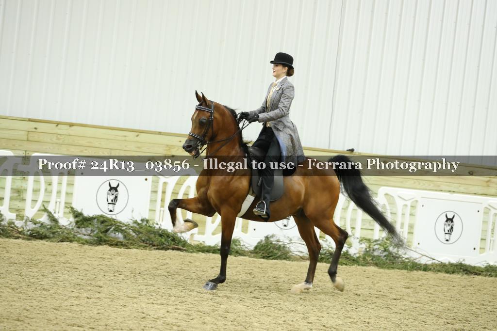 Proof 24R13_03856