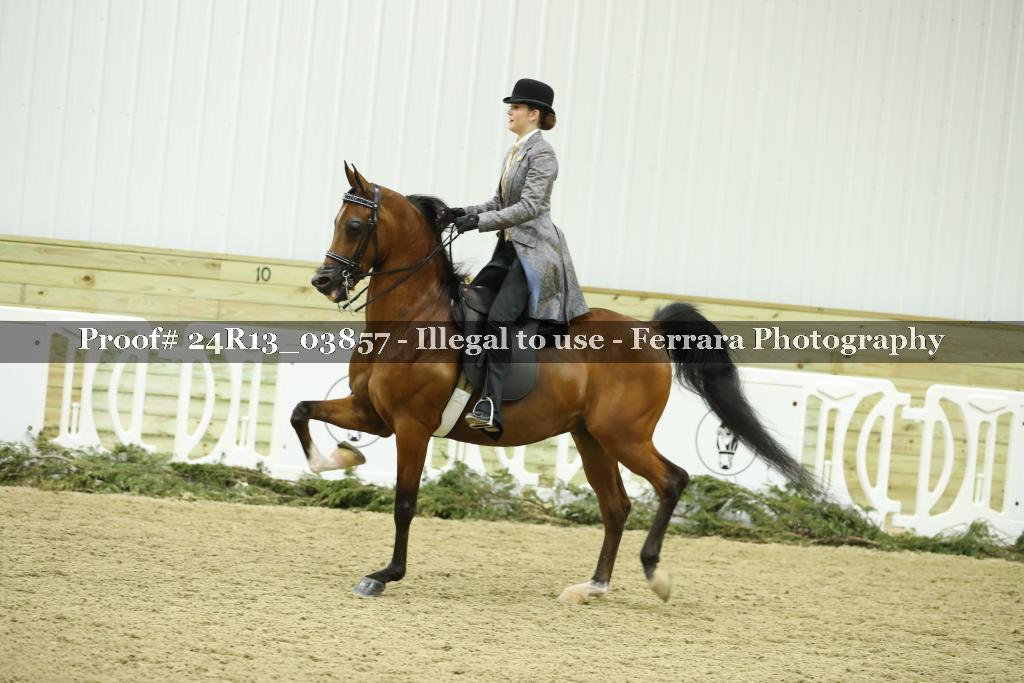 Proof 24R13_03857
