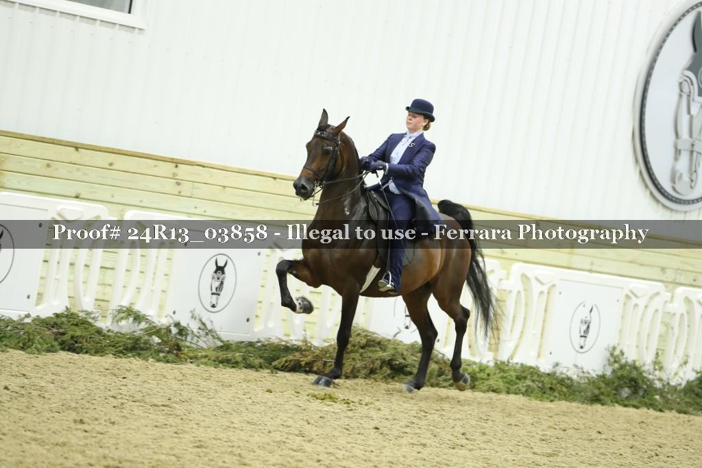 Proof 24R13_03858