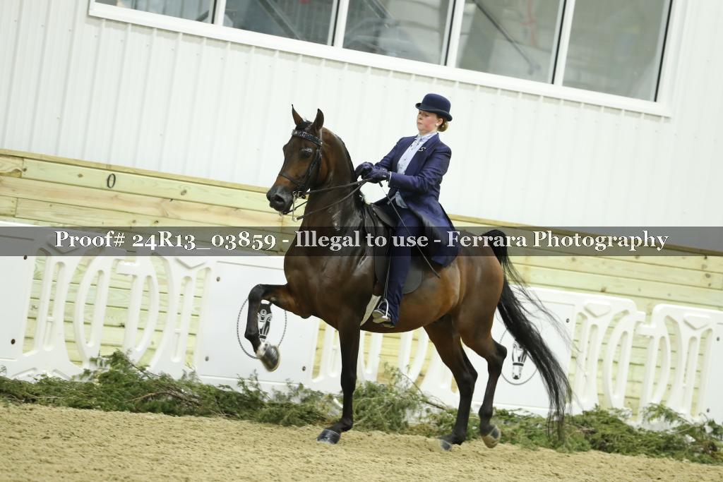 Proof 24R13_03859