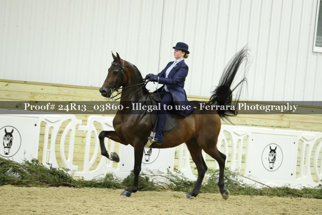 Proof 24R13_03860