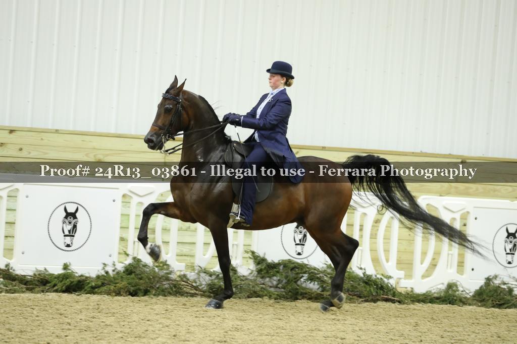 Proof 24R13_03861
