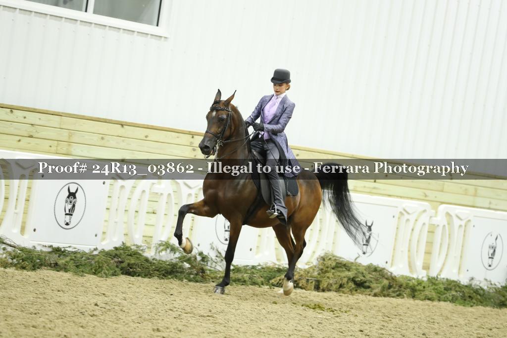 Proof 24R13_03862