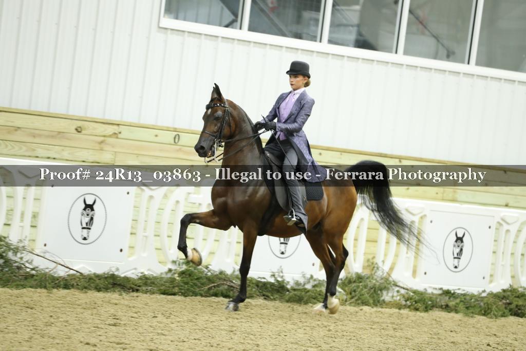 Proof 24R13_03863