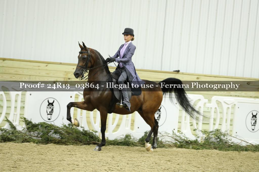 Proof 24R13_03864