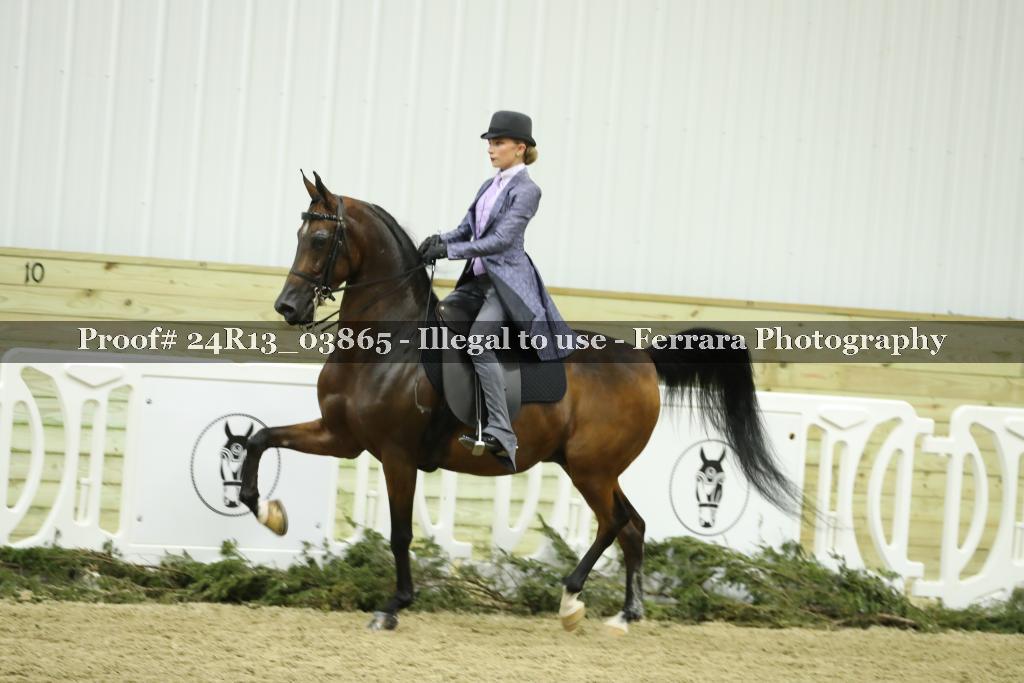 Proof 24R13_03865