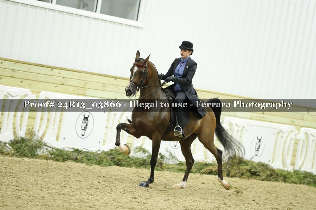 Proof 24R13_03866