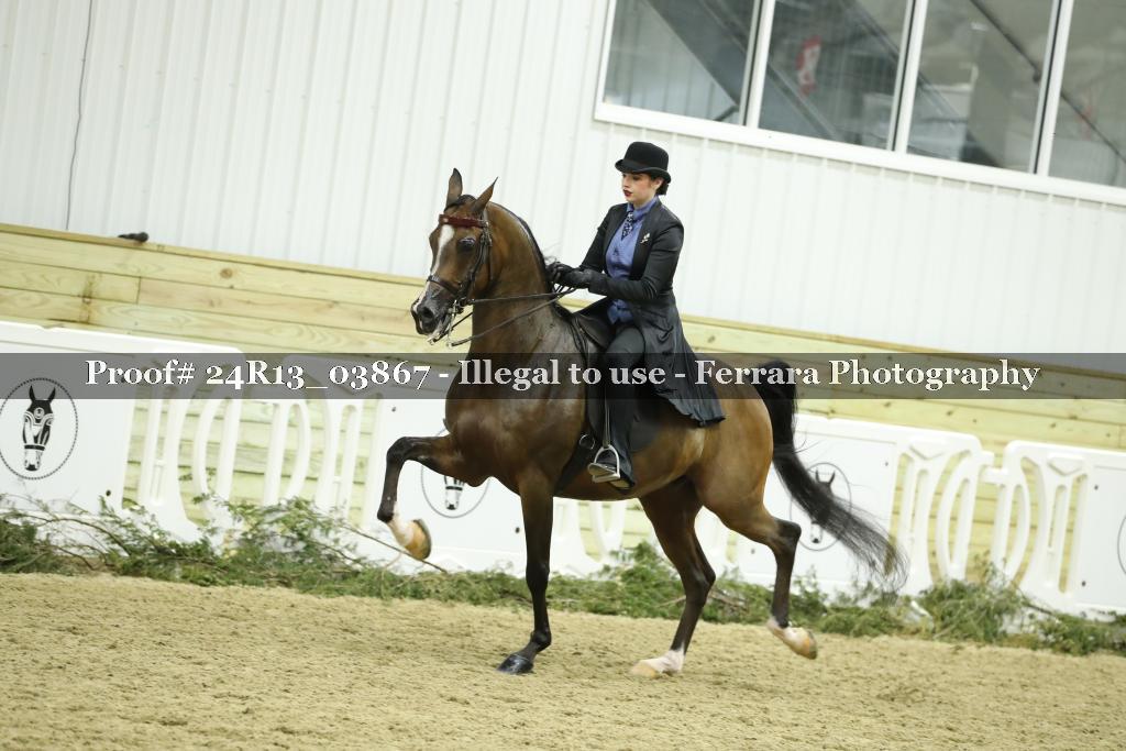 Proof 24R13_03867